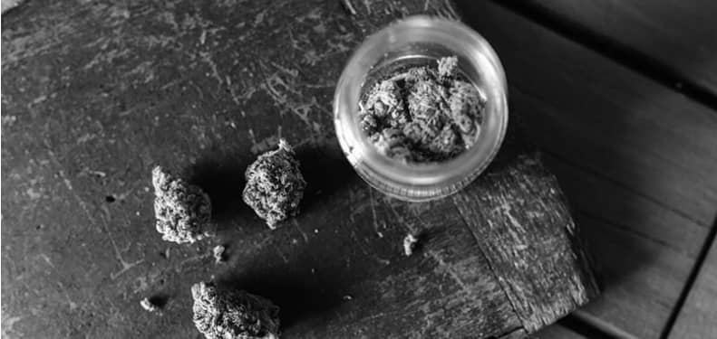 Premium cannabis flower